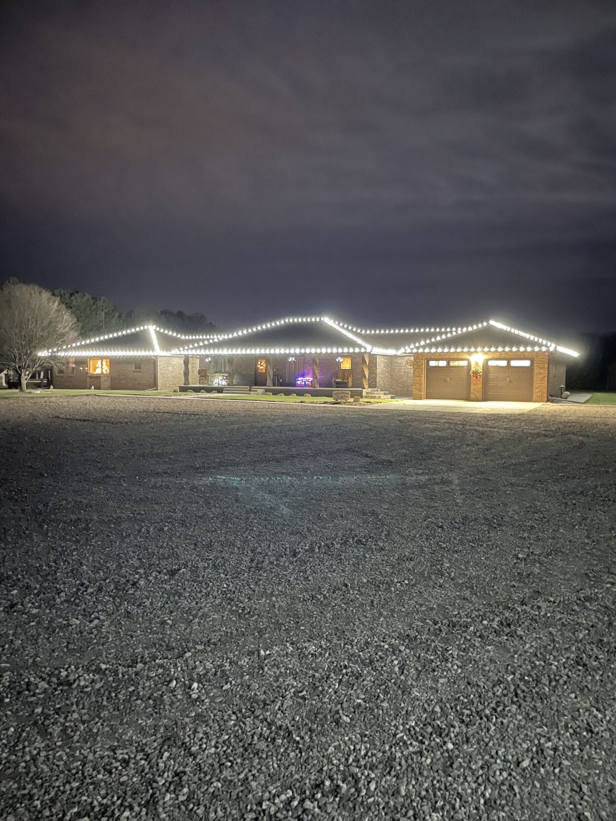 Ross Yard Sharks Holiday Lighting
